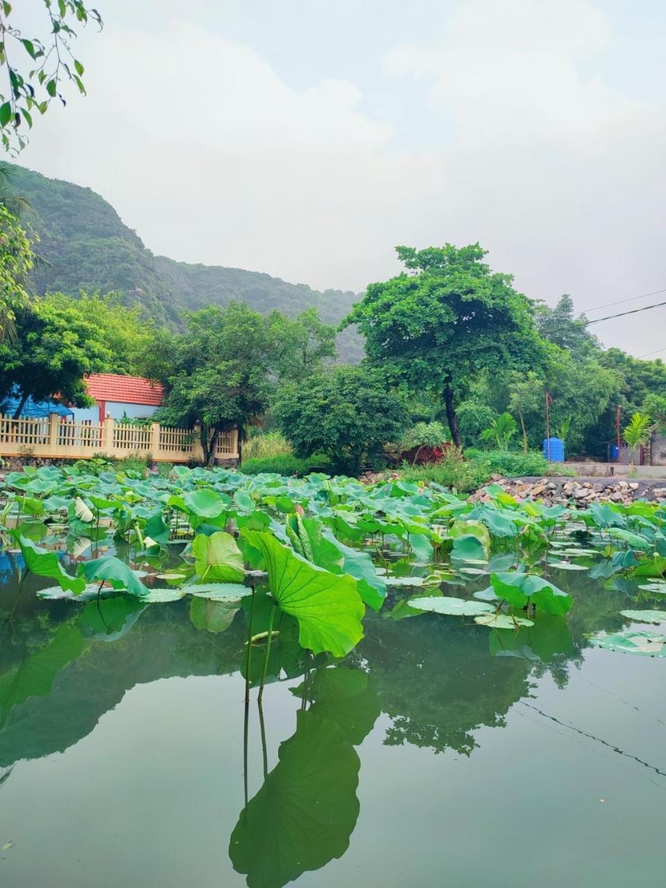 Trang An Natural Mountainside Homestay Ninh Binh Buitenkant foto