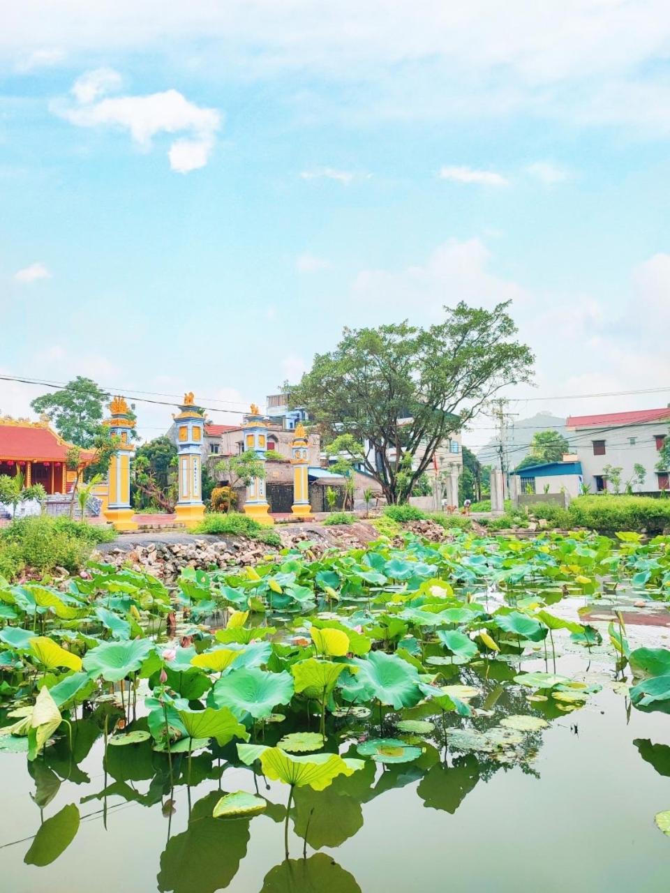 Trang An Natural Mountainside Homestay Ninh Binh Buitenkant foto