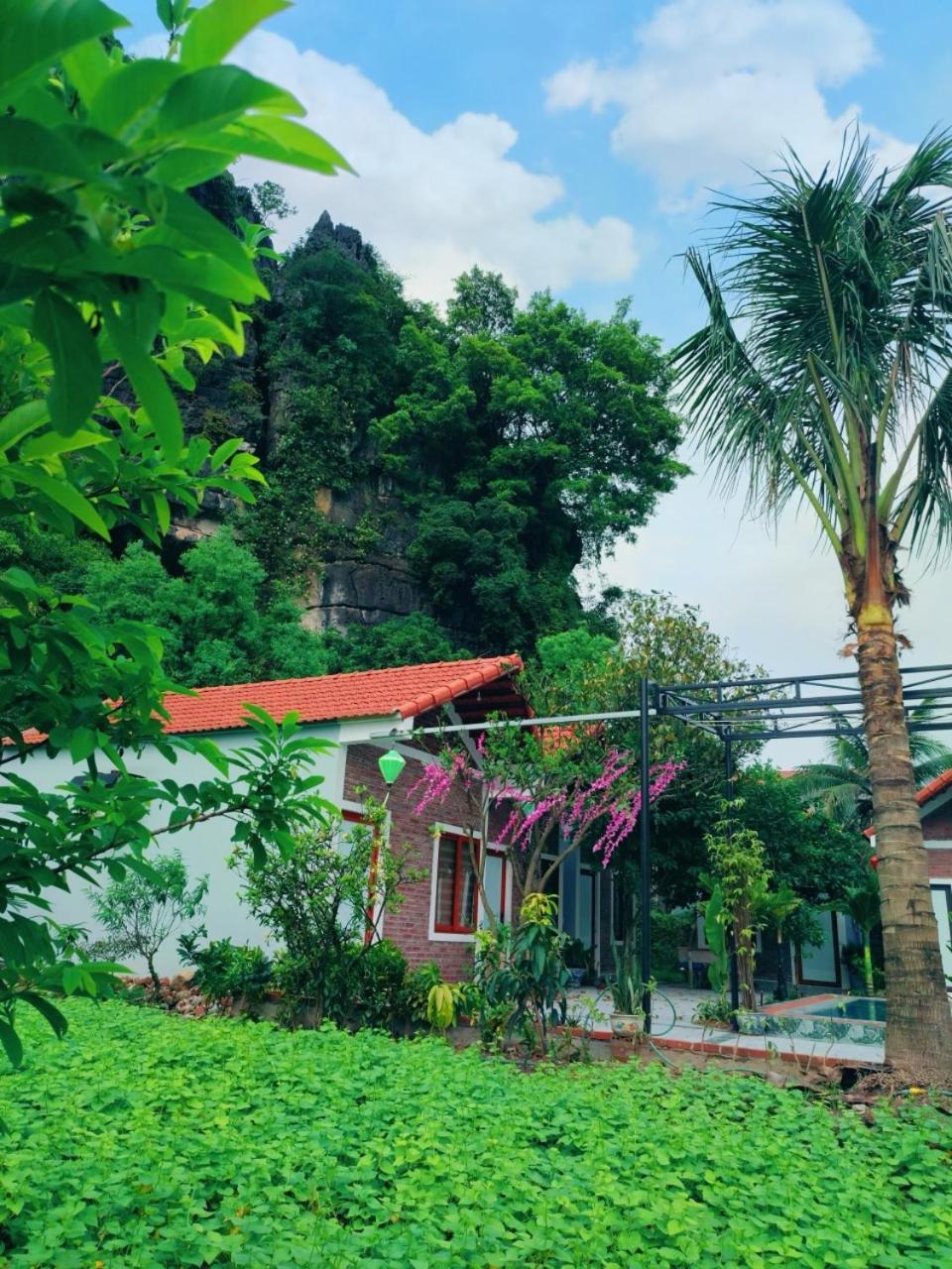 Trang An Natural Mountainside Homestay Ninh Binh Buitenkant foto