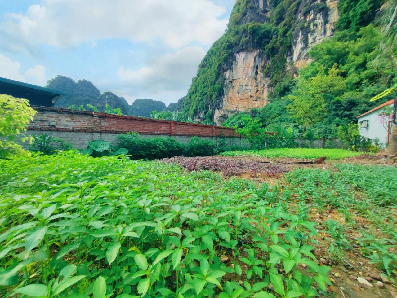 Trang An Natural Mountainside Homestay Ninh Binh Buitenkant foto